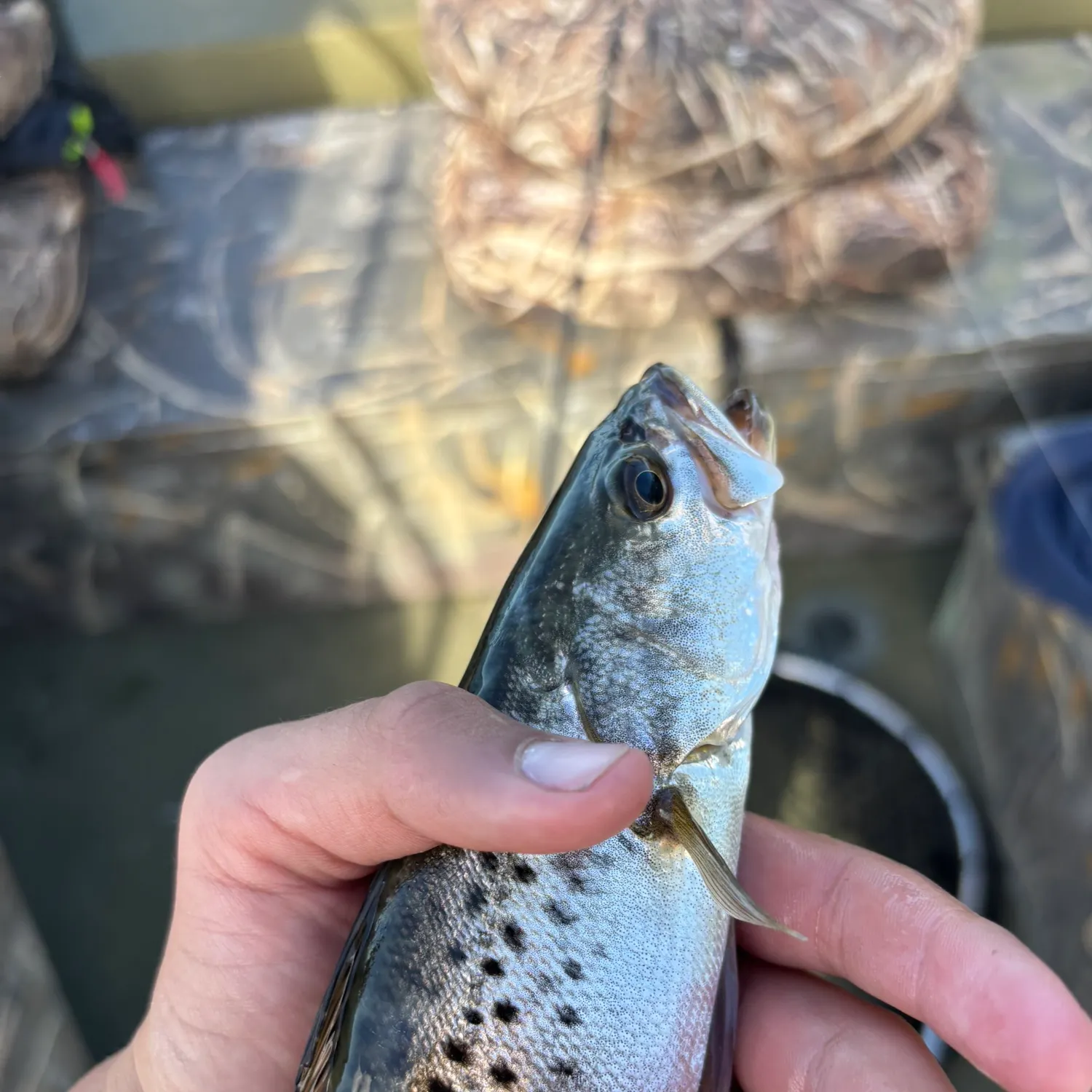 catch