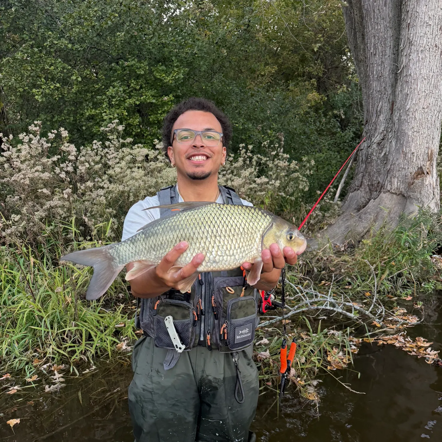 The most recent Quillback catches on Fishbrain