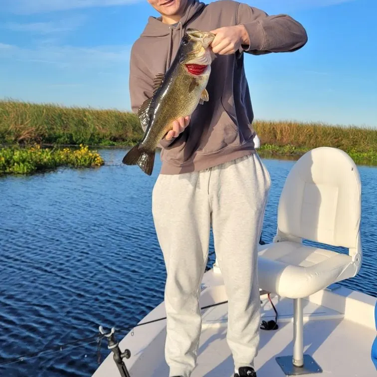 angler catch