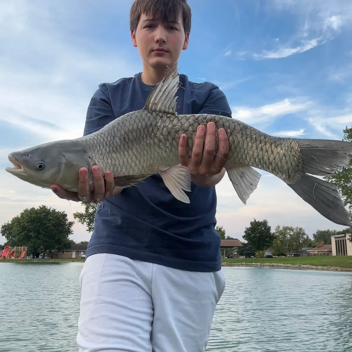 Grass carp caught on Fishbrain