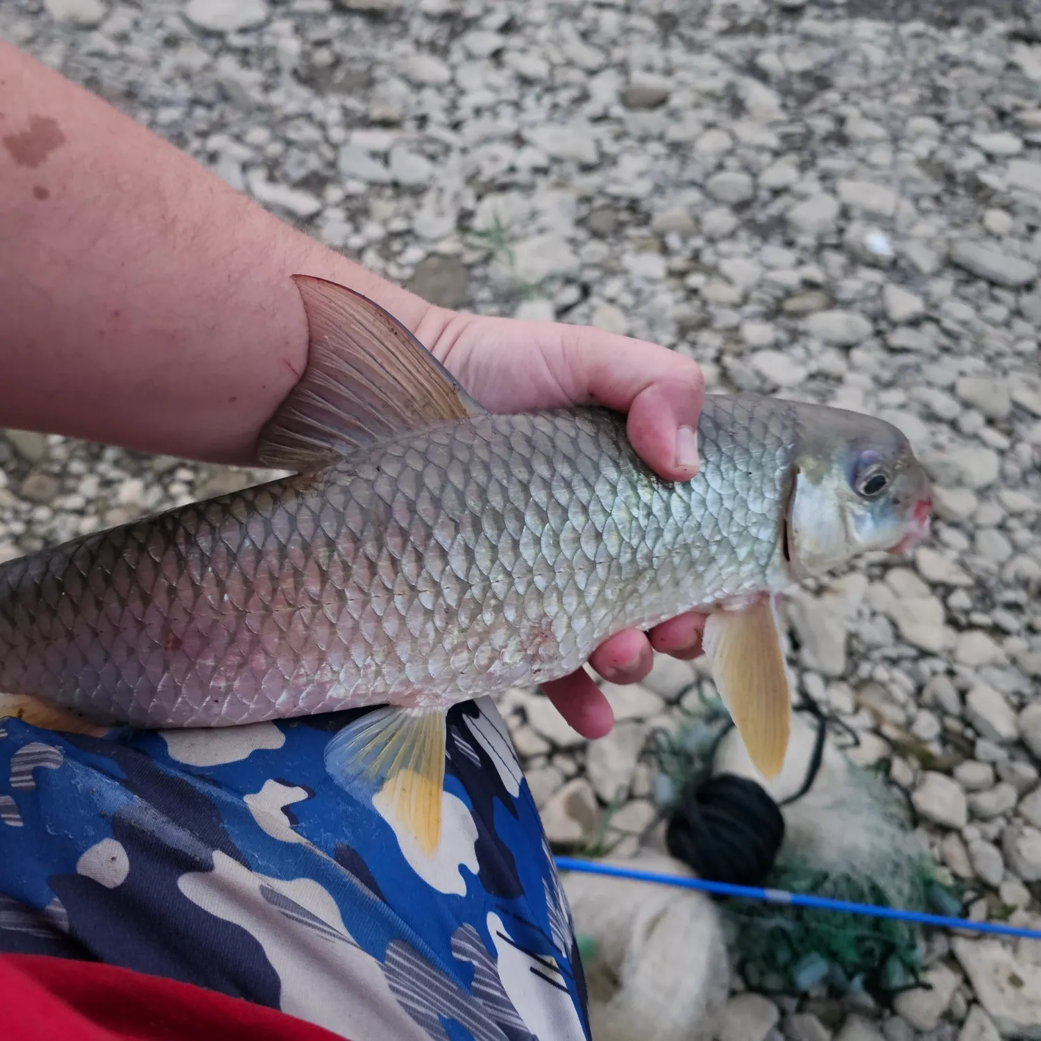 ᐅ Devol Run fishing reports🎣• Lowell, OH (United States) fishing