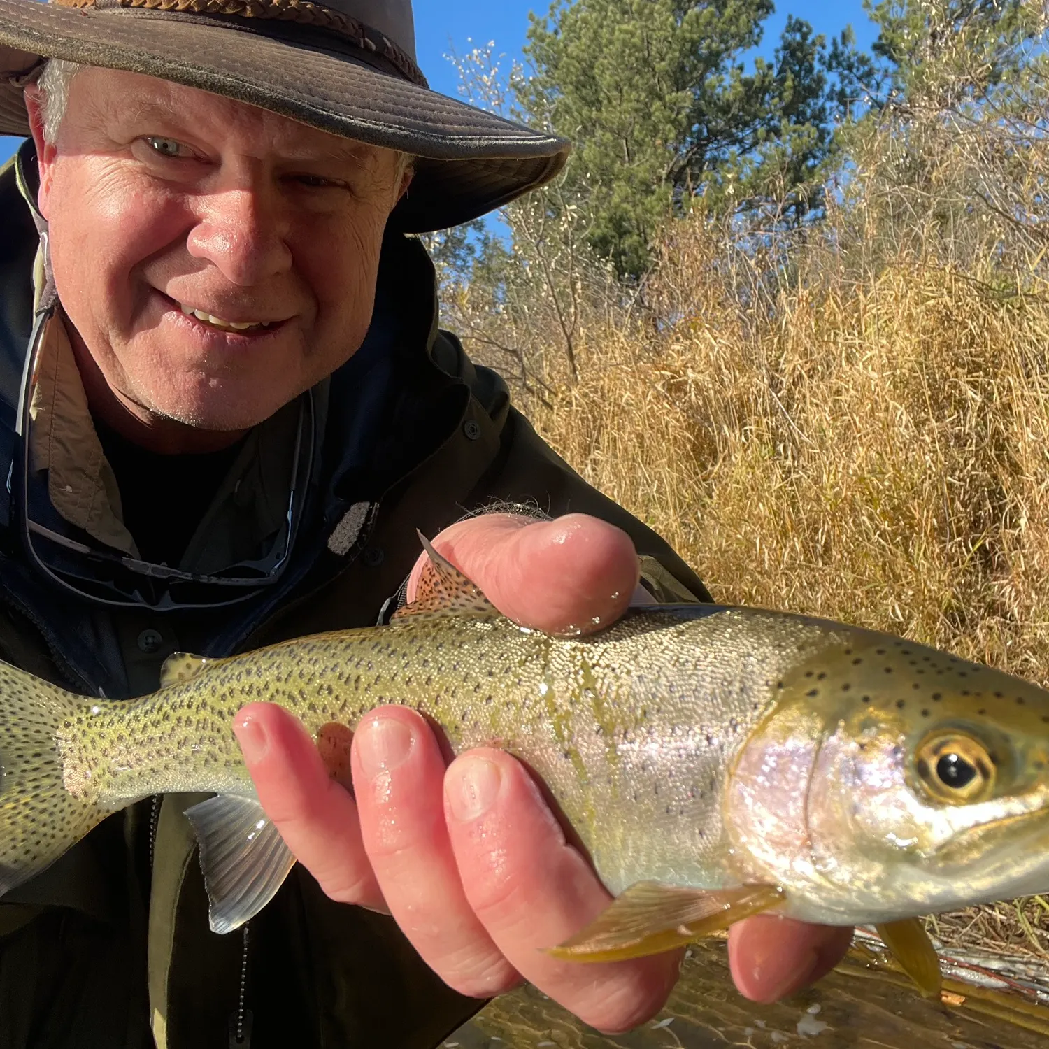 Westslope cutthroat trout caught on Fishbrain