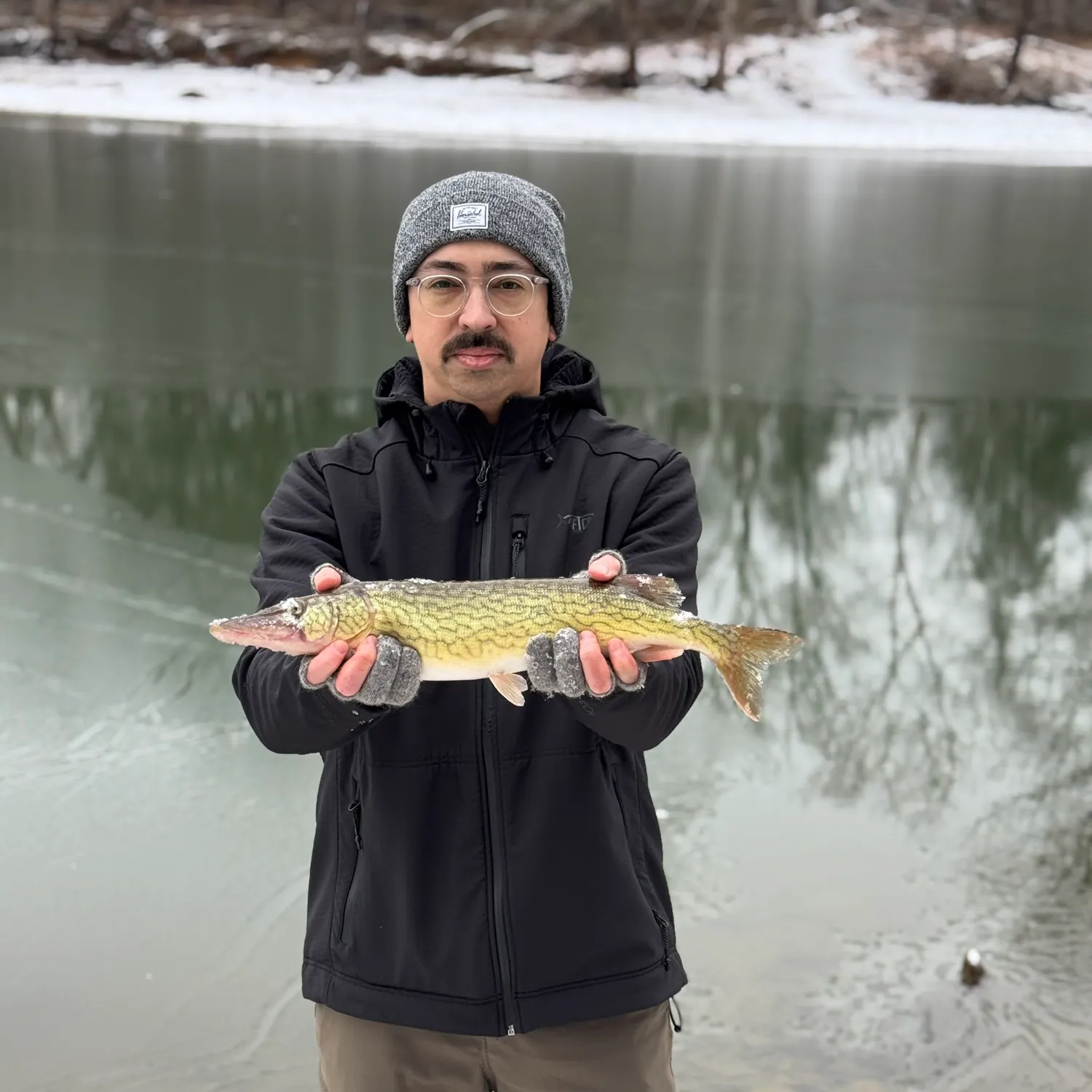 The most recent Chain pickerel catches on Fishbrain