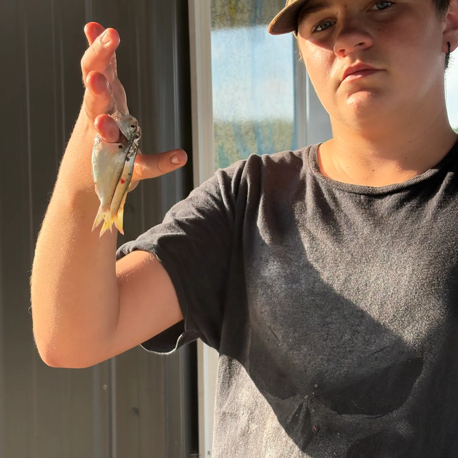 The most recent American shad catches on Fishbrain