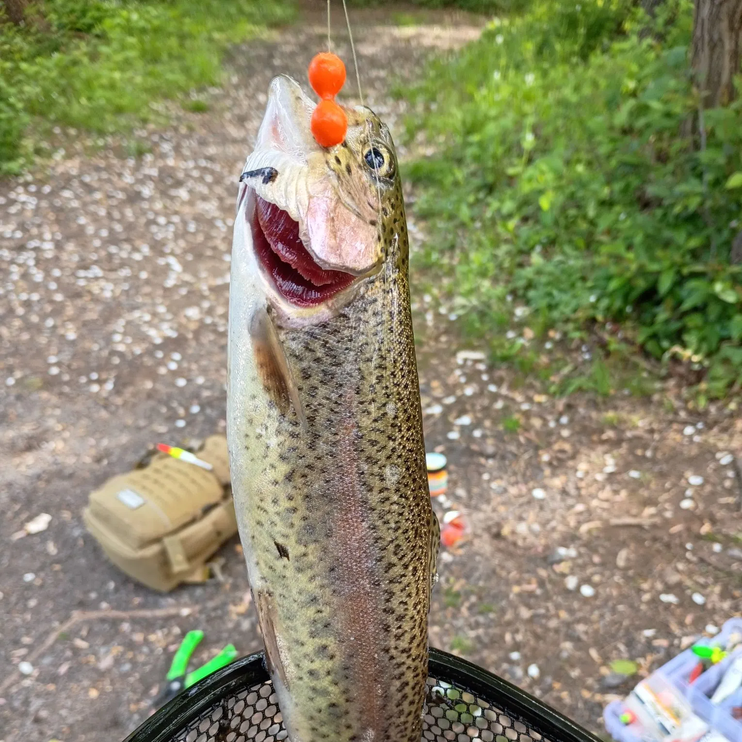 catch
