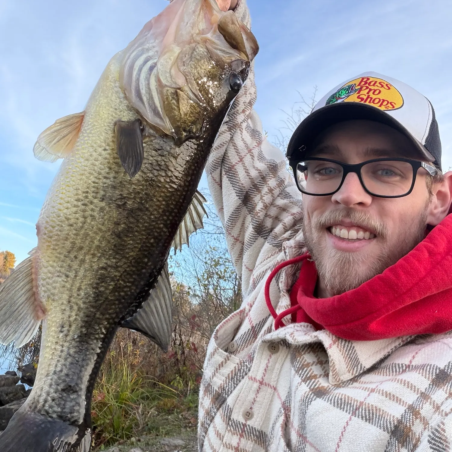Largemouth bass caught on Fishbrain