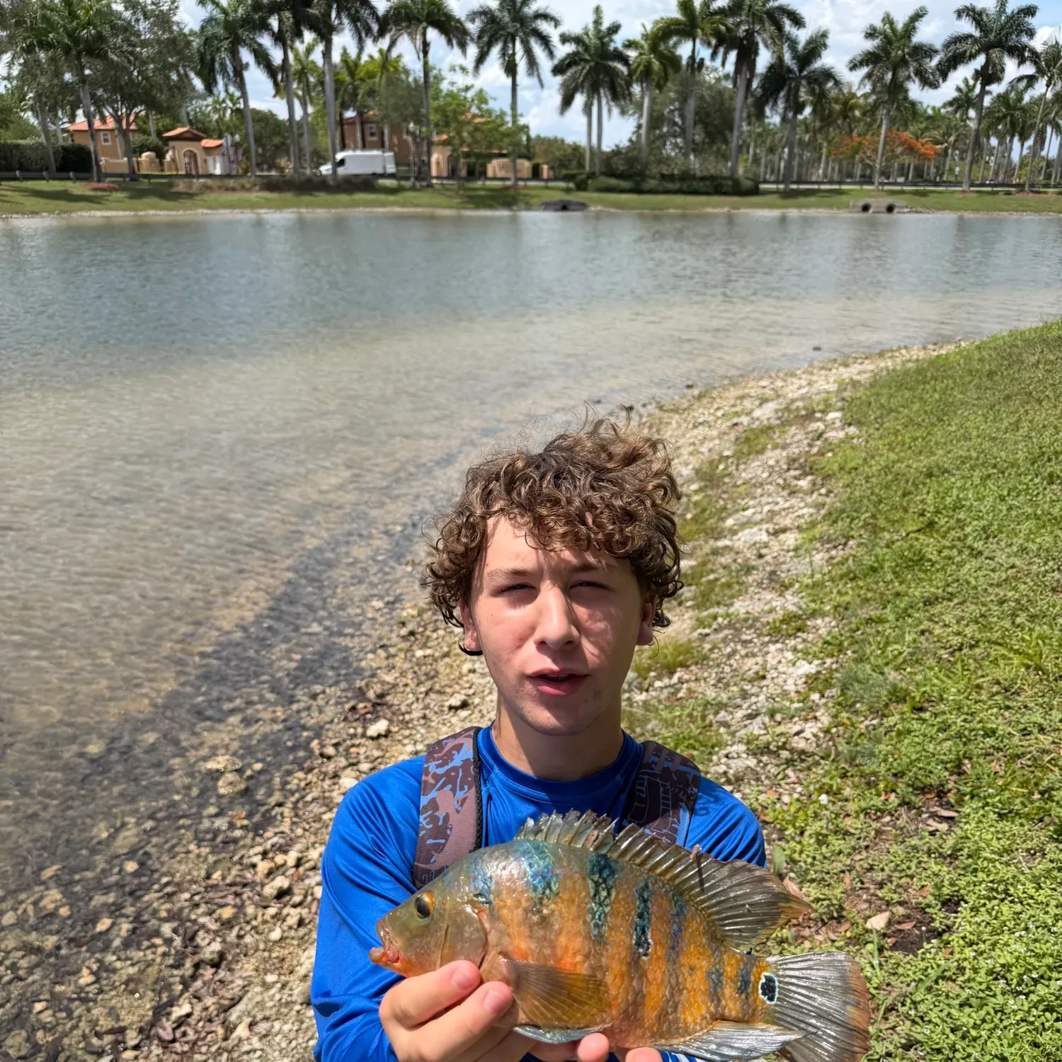 The most recent Mayan cichlid catches on Fishbrain