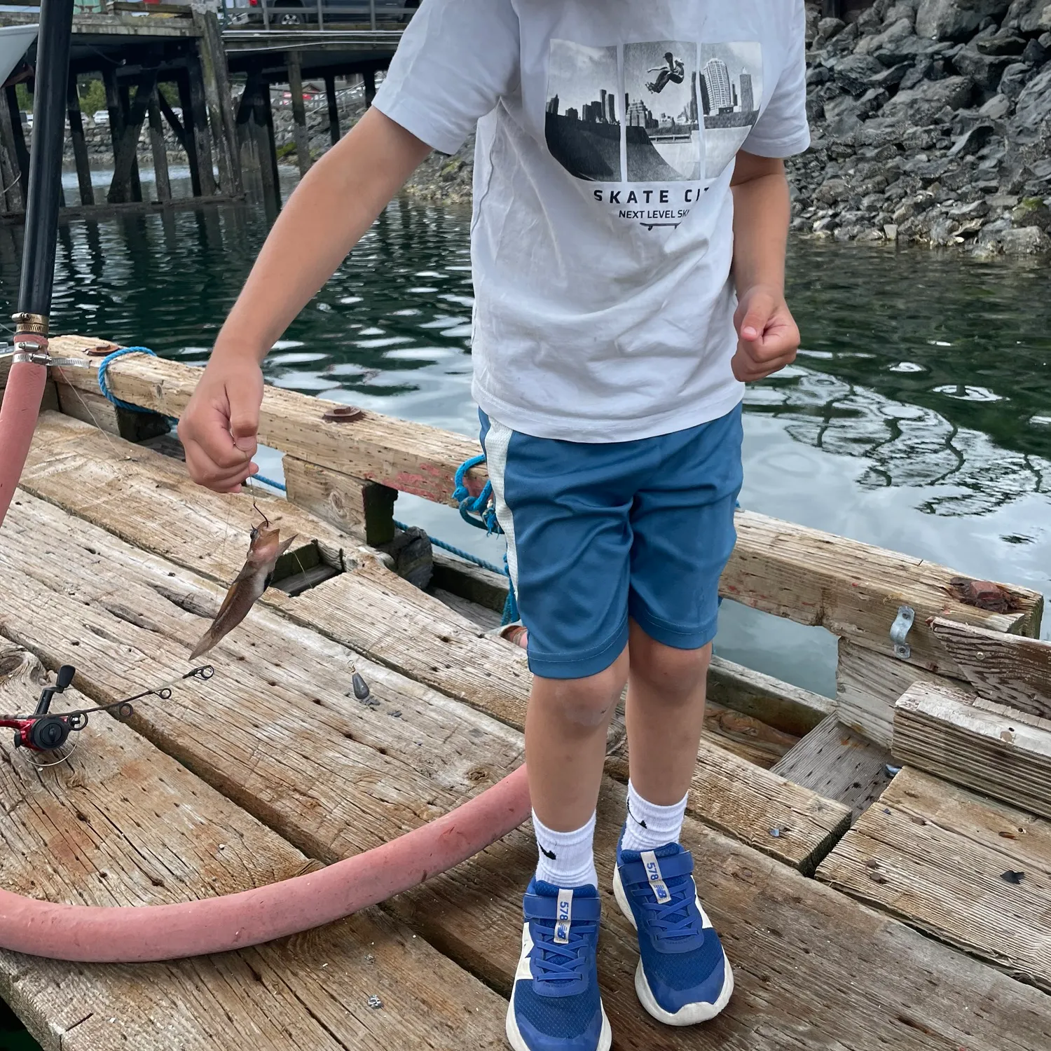 The most recent Blackeye goby catches on Fishbrain