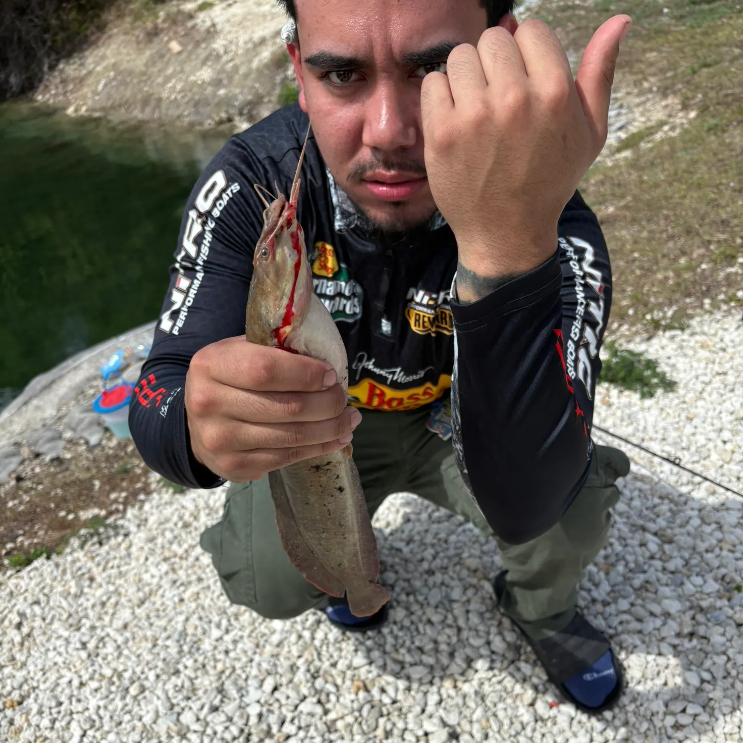 The most recent North African catfish catches on Fishbrain