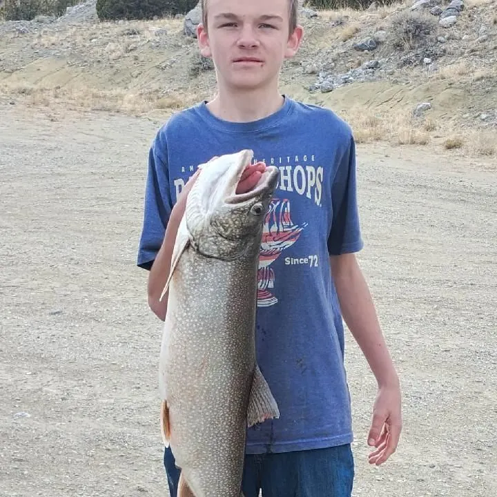 The most recent Lake char catches on Fishbrain