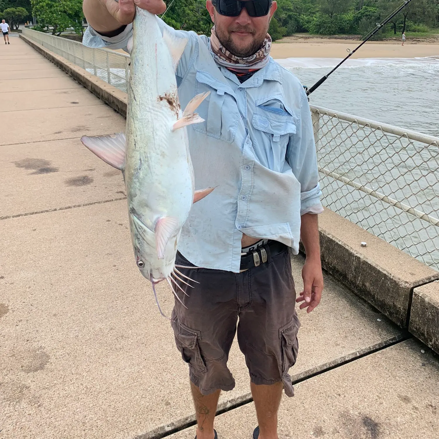 angler catch