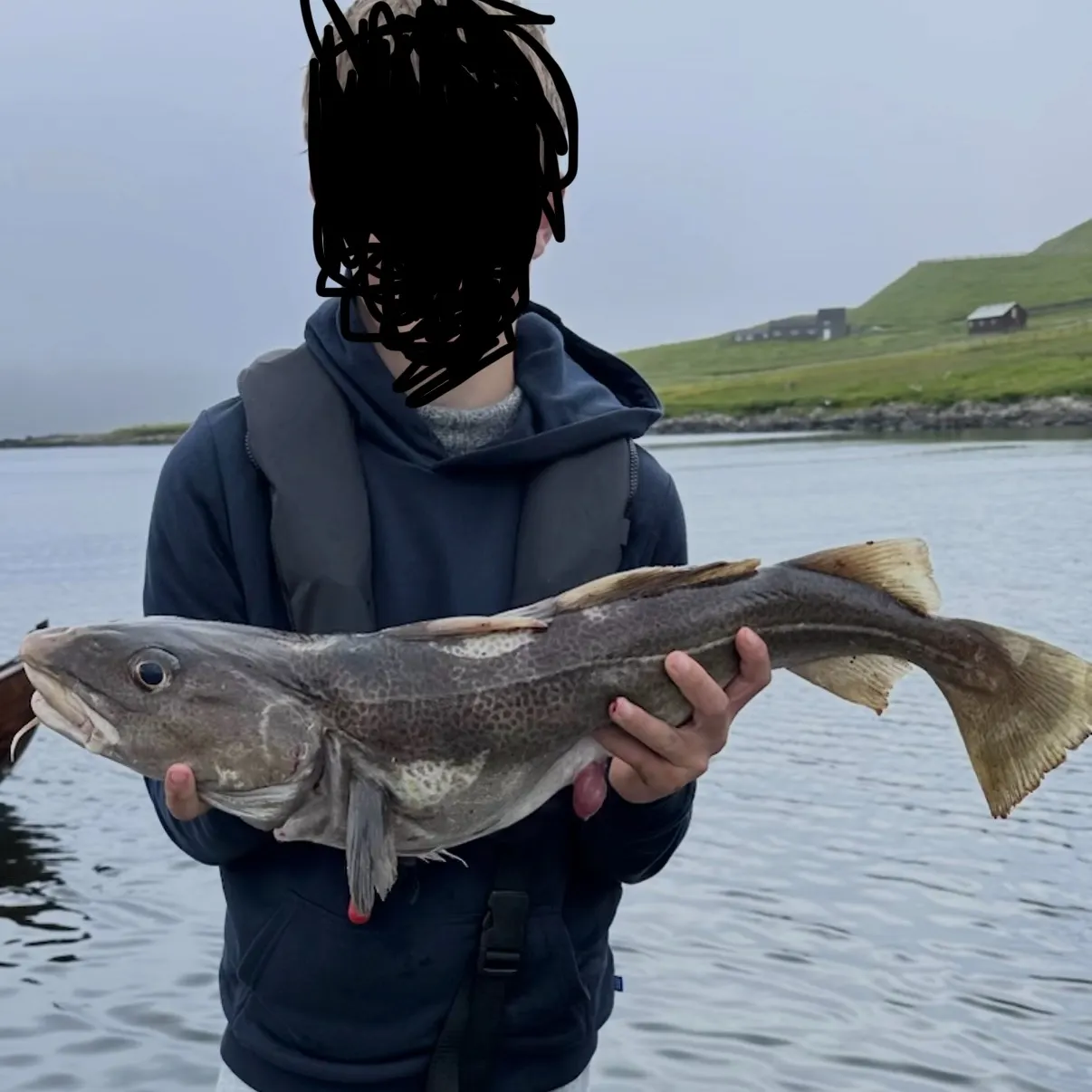 Atlantic cod caught on Fishbrain
