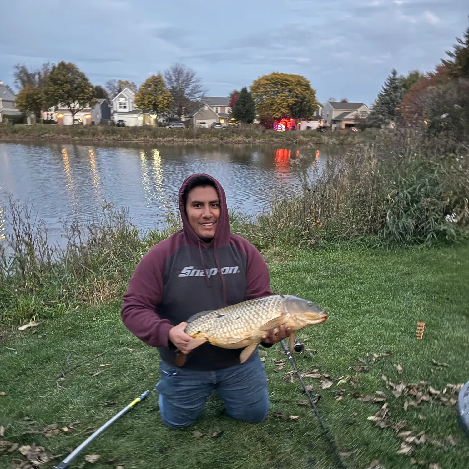 Common carp caught on Fishbrain