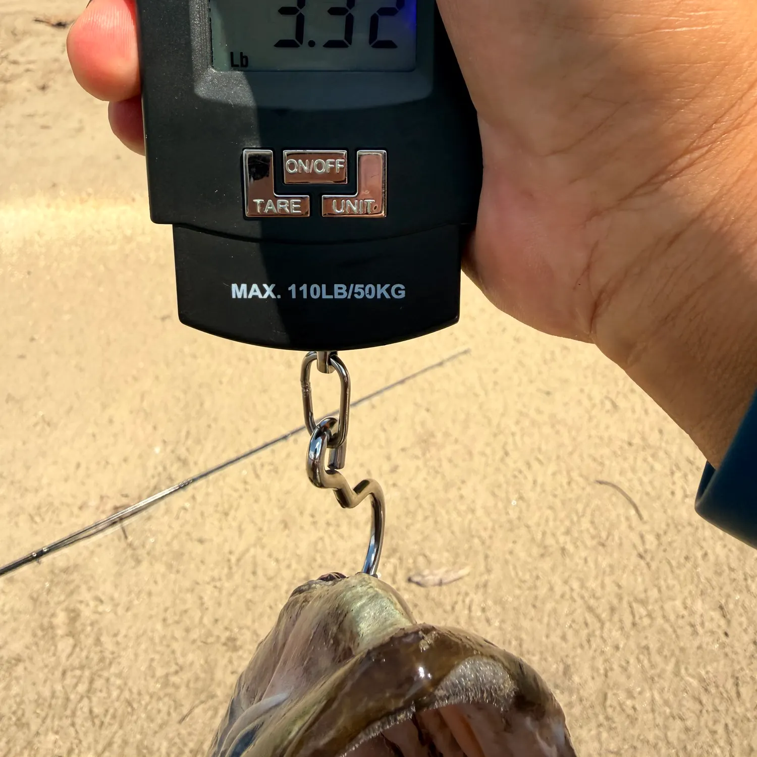Smallmouth bass caught on Fishbrain