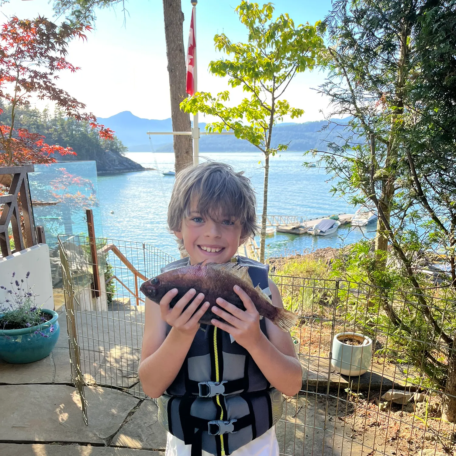 The most recent Silver surfperch catches on Fishbrain