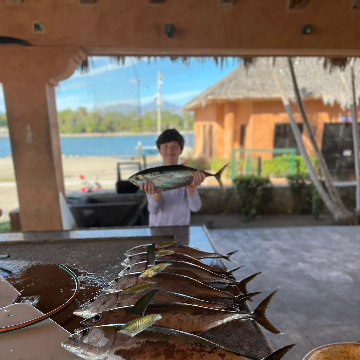 The most recent Yellowfin tuna catches on Fishbrain