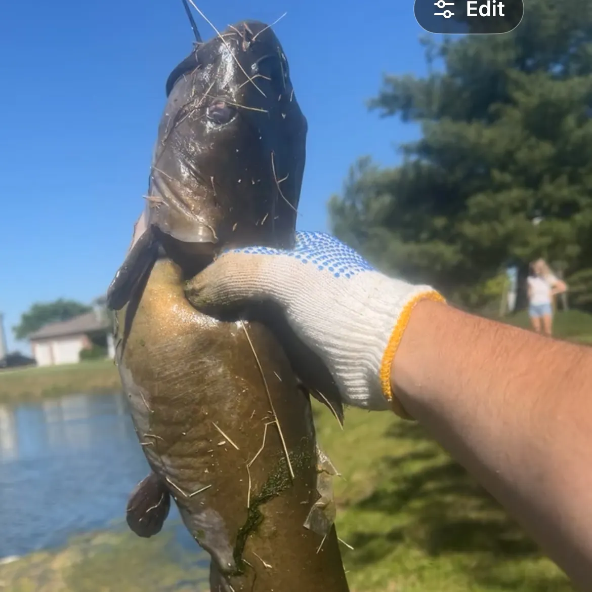 catch