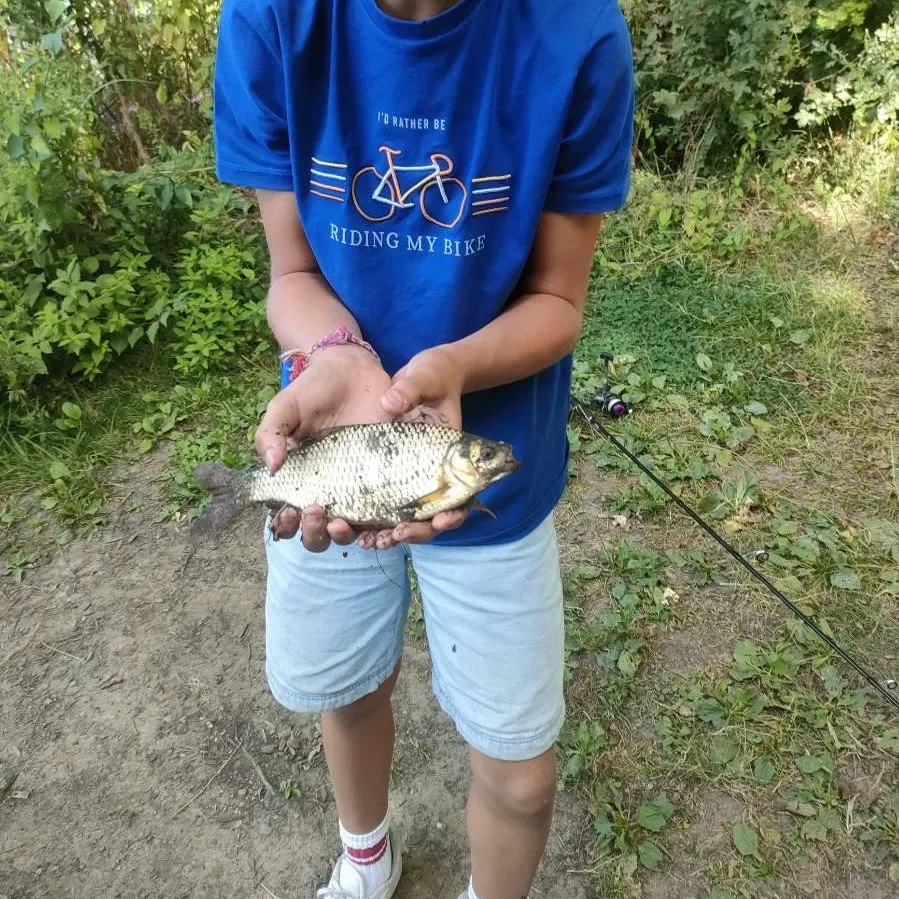 Fish caught on Fishbrain