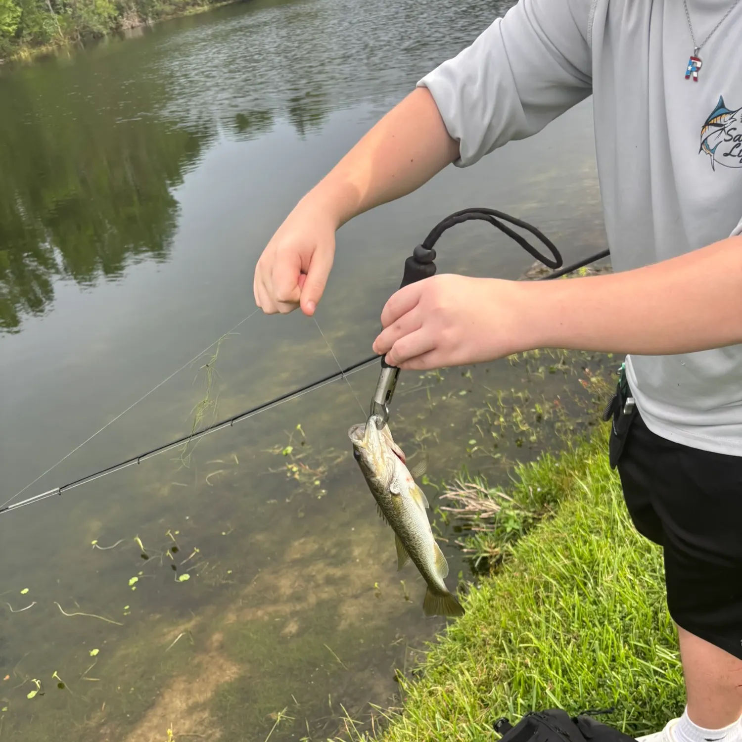 Largemouth bass caught on Fishbrain