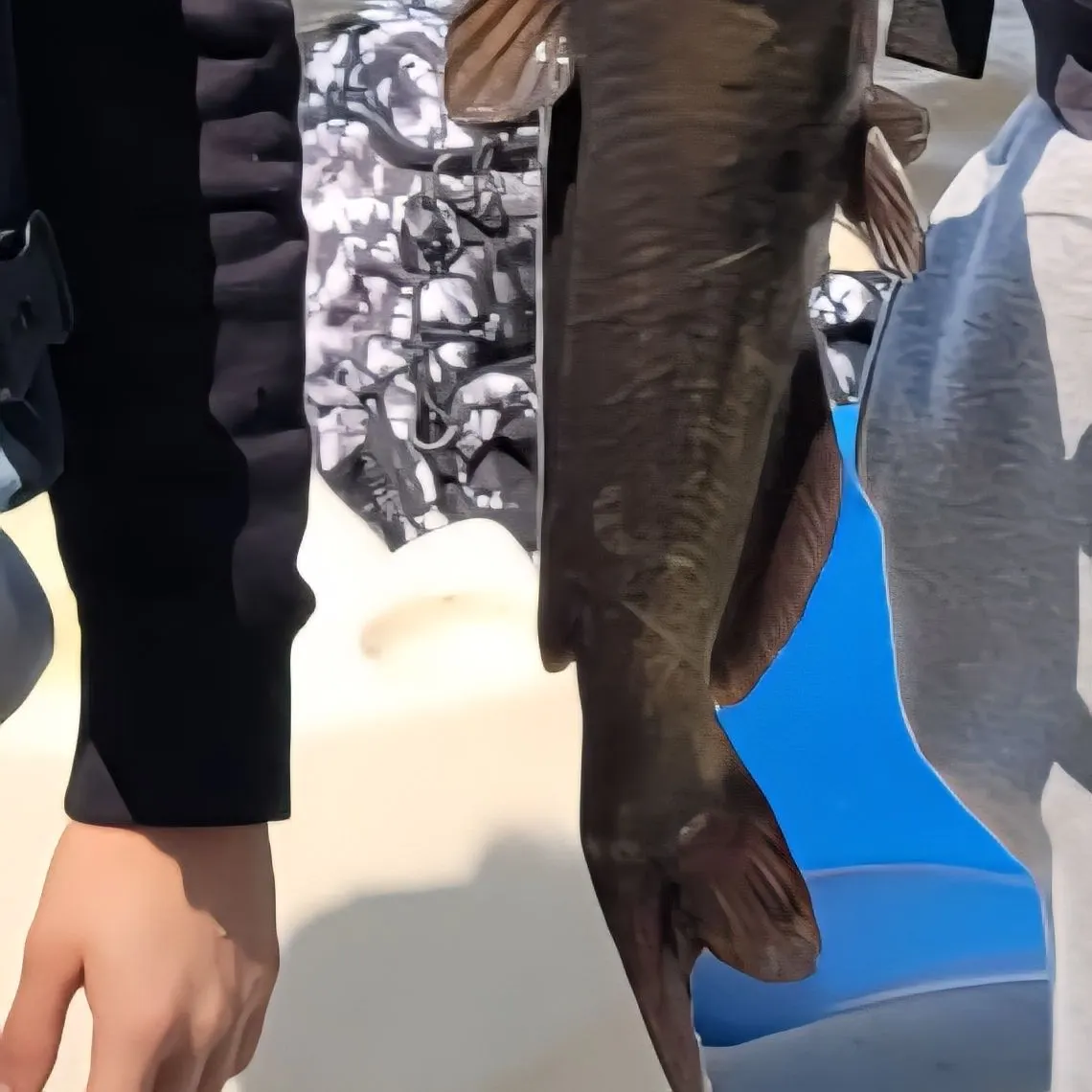 angler catch