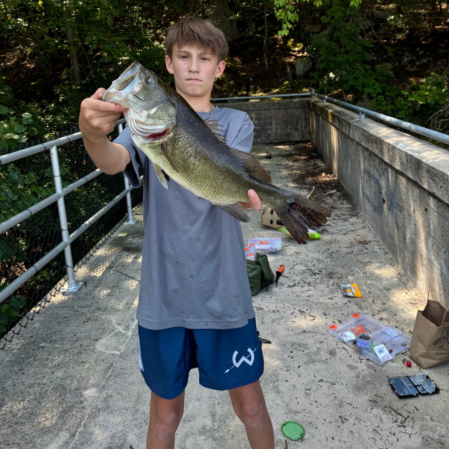 Largemouth bass caught on Fishbrain
