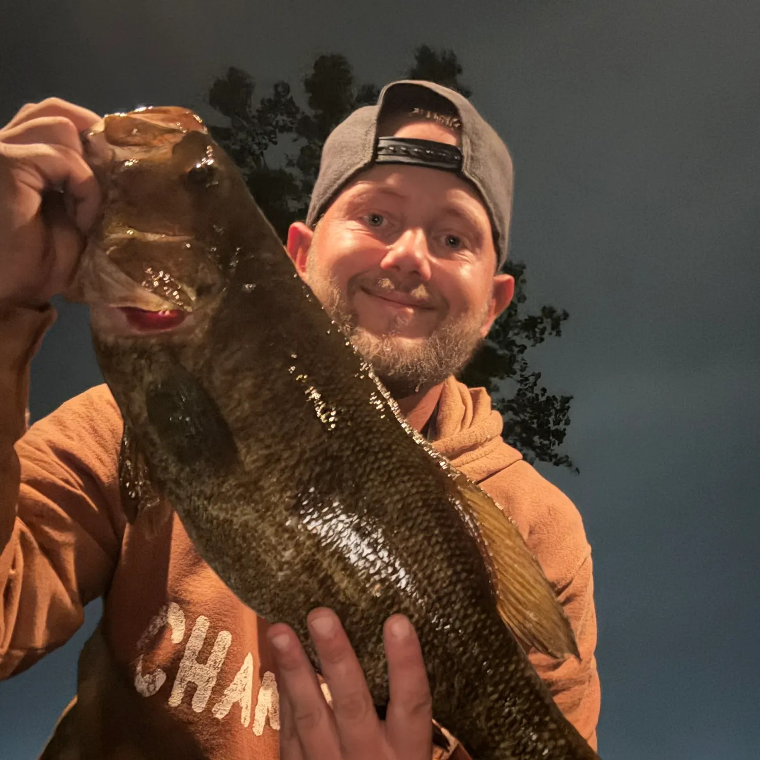 Smallmouth bass caught on Fishbrain