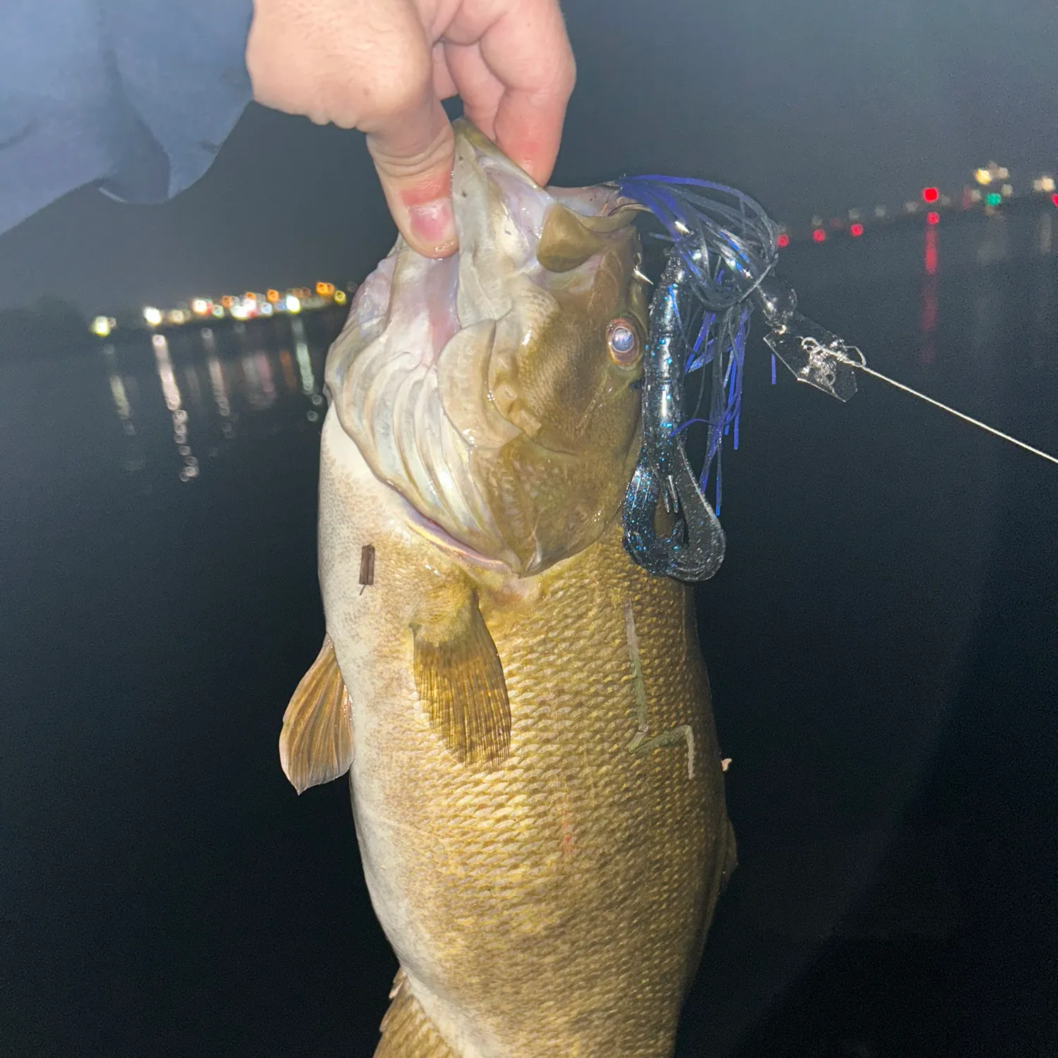 Smallmouth bass caught on Fishbrain