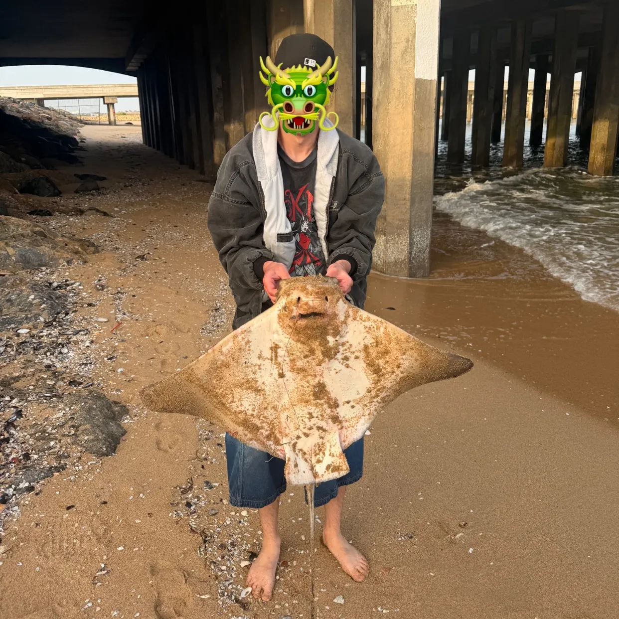 The most recent Bat eagle ray catches on Fishbrain