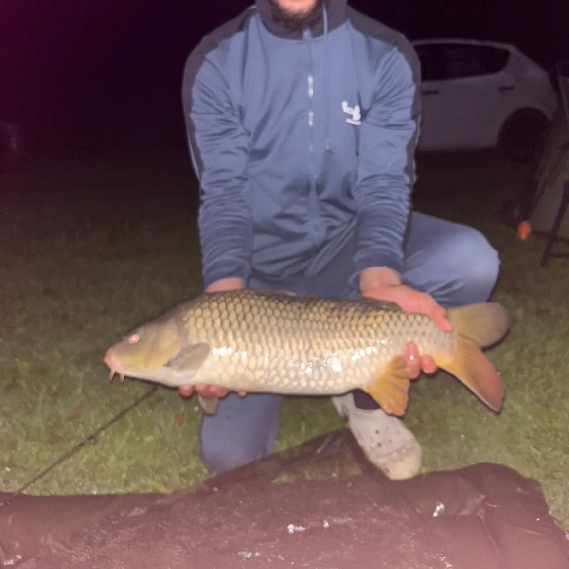 Common carp caught on Fishbrain
