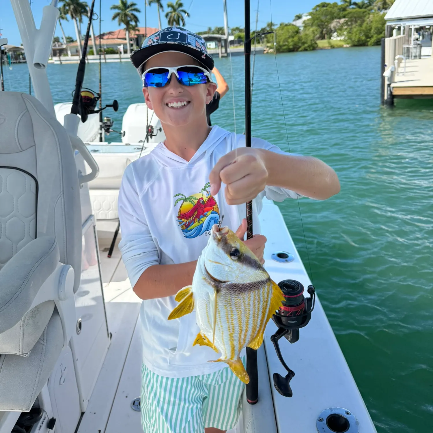 The most recent Atlantic porkfish catches on Fishbrain