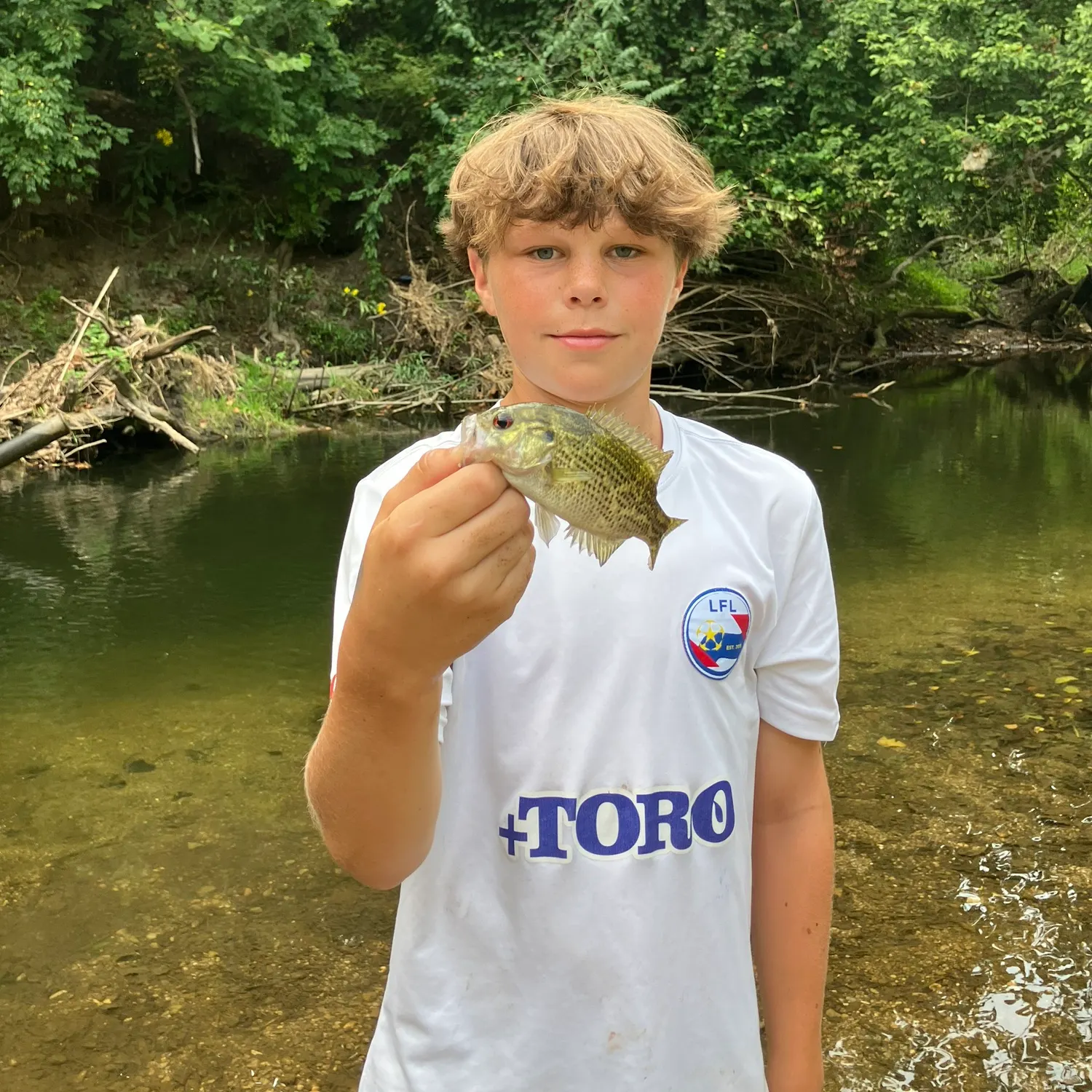 Rock bass caught on Fishbrain