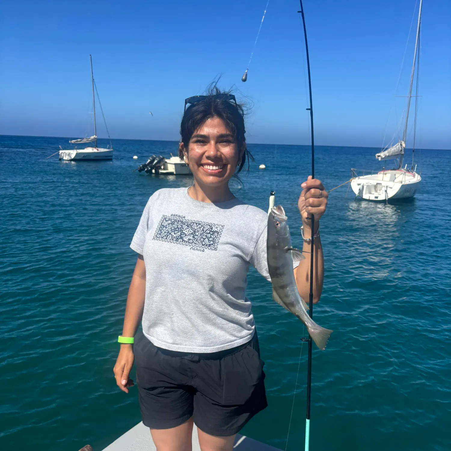 White seabass caught on Fishbrain