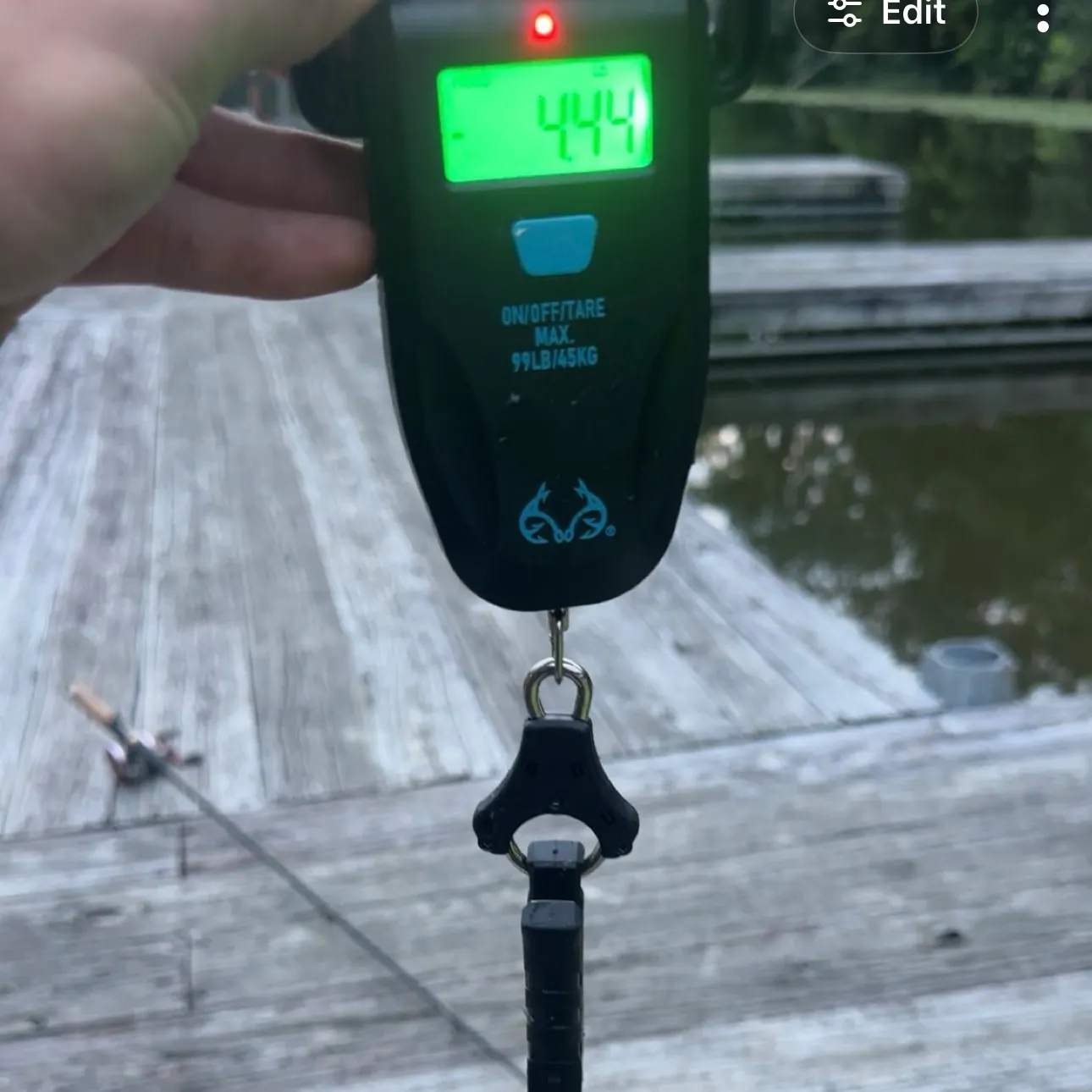 recently logged catches