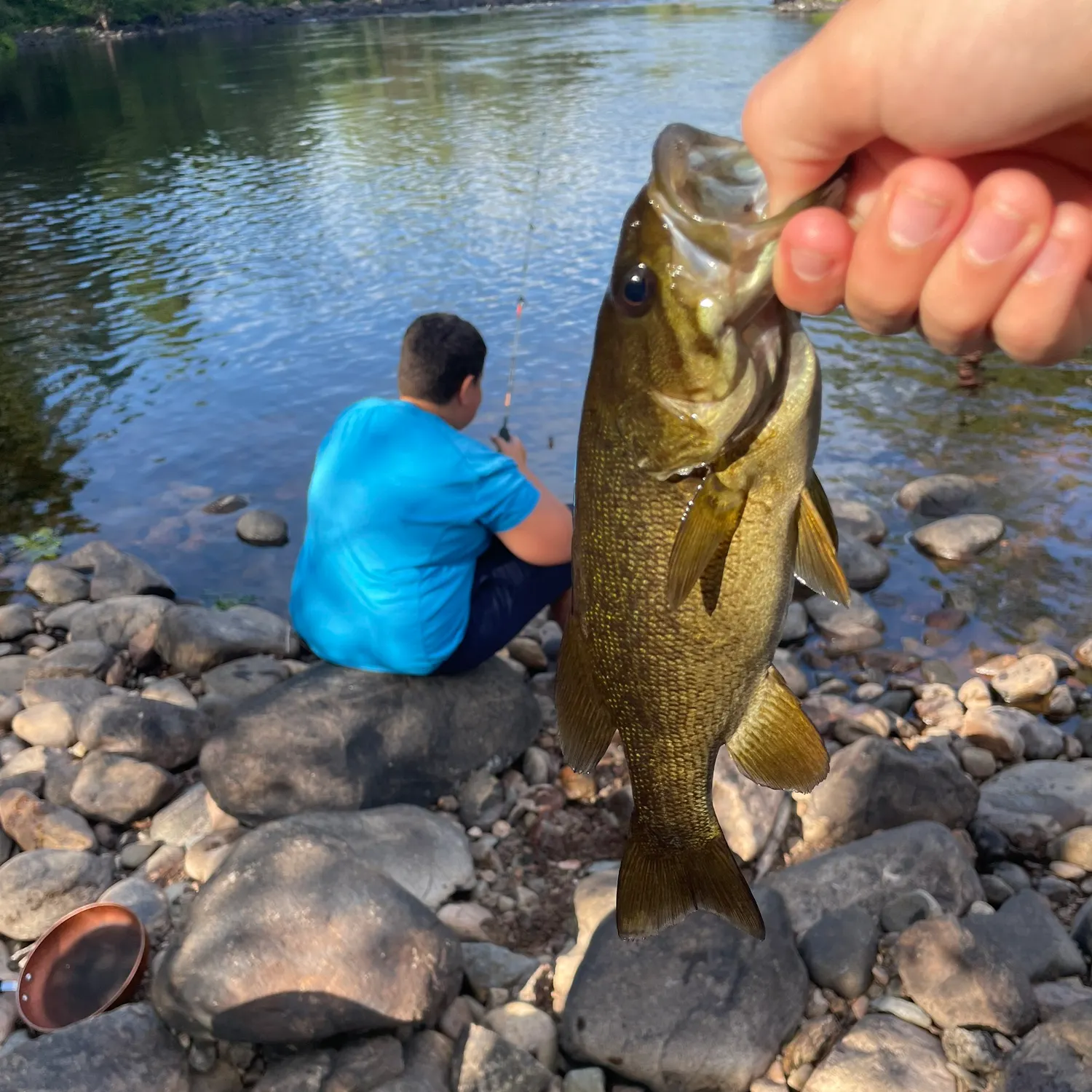 Smallmouth bass caught on Fishbrain