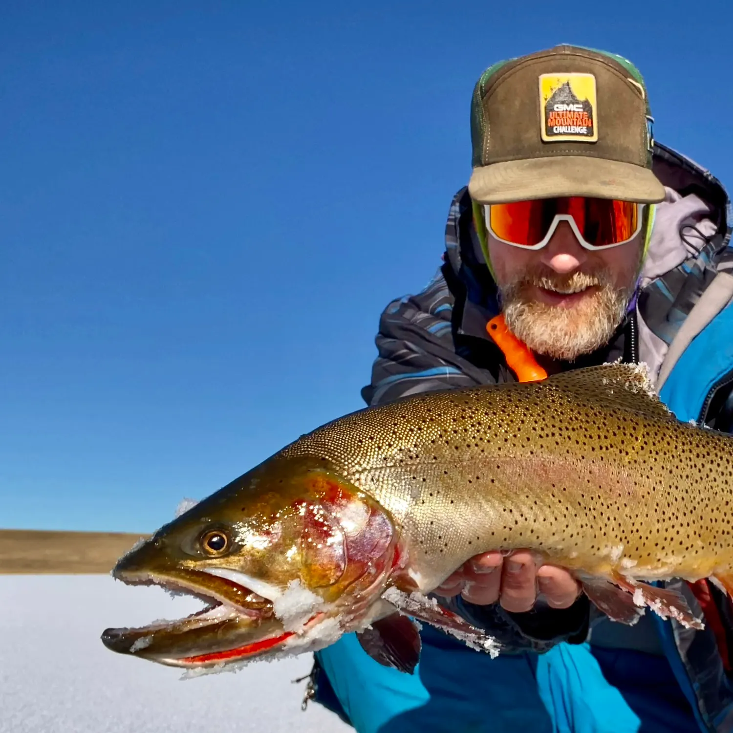 The most recent Snake River fine-spotted cutthroat trout catches on Fishbrain