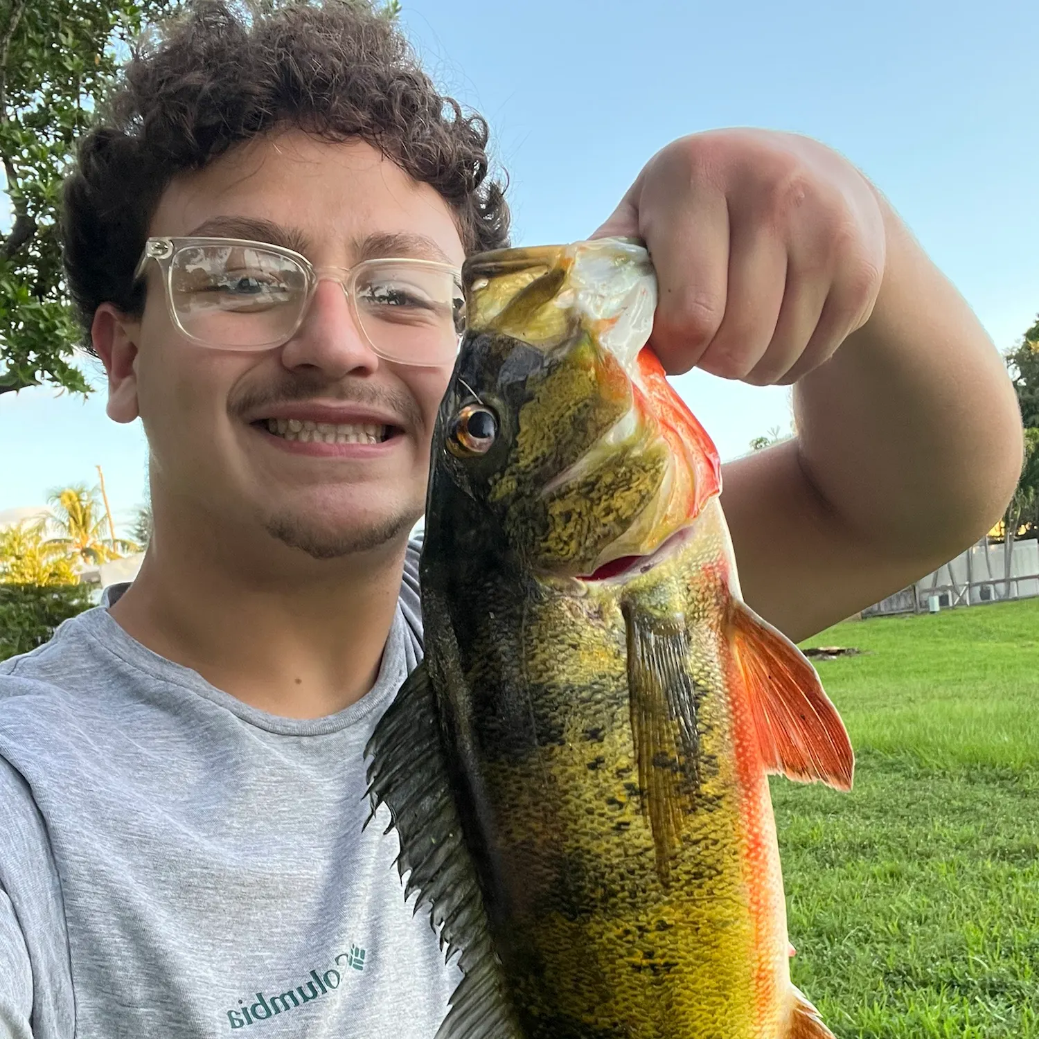 Butterfly peacock bass caught on Fishbrain
