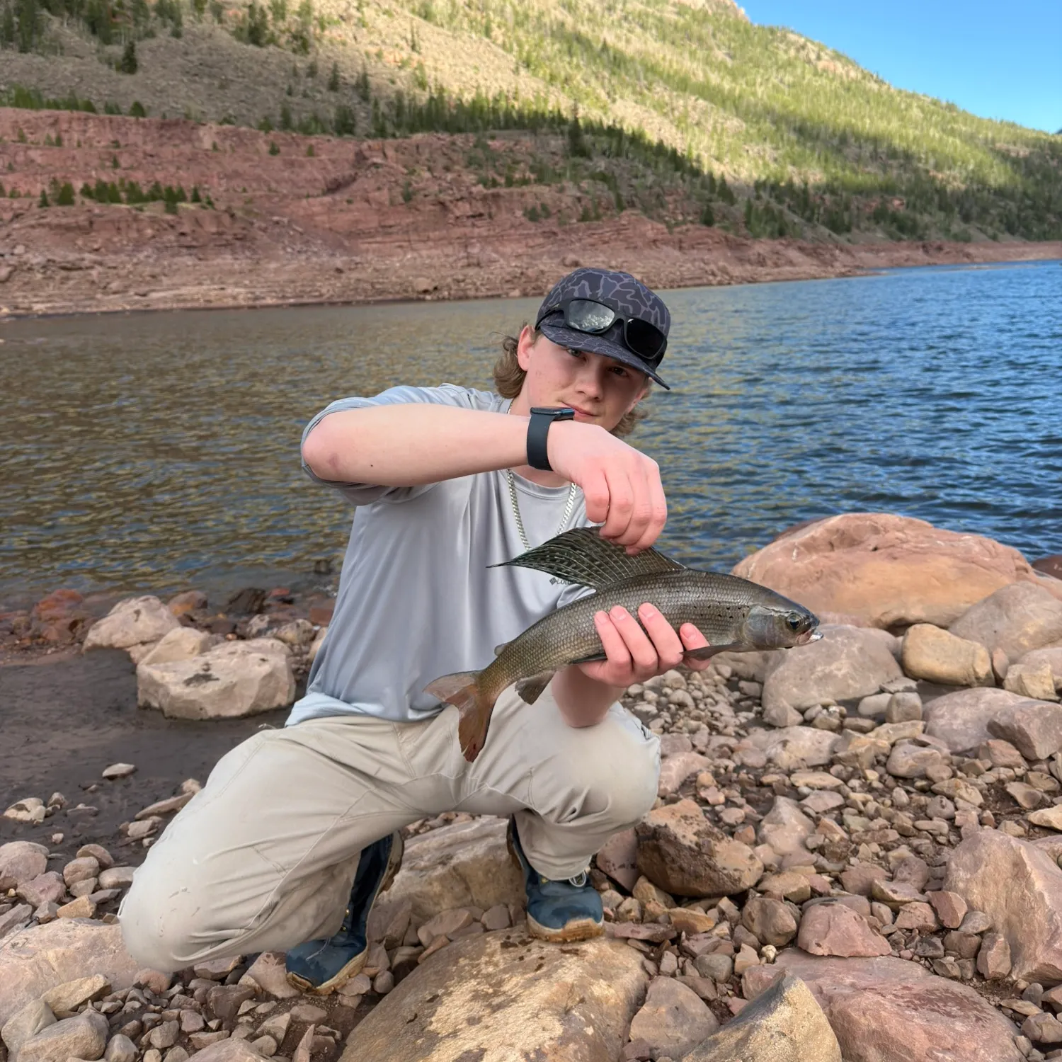 Arctic grayling caught on Fishbrain