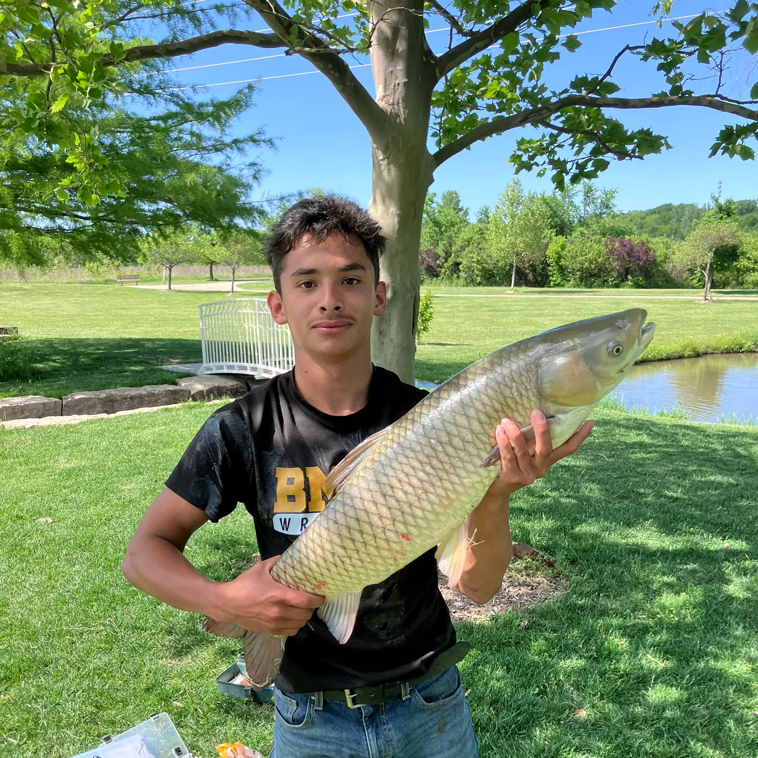 angler catch