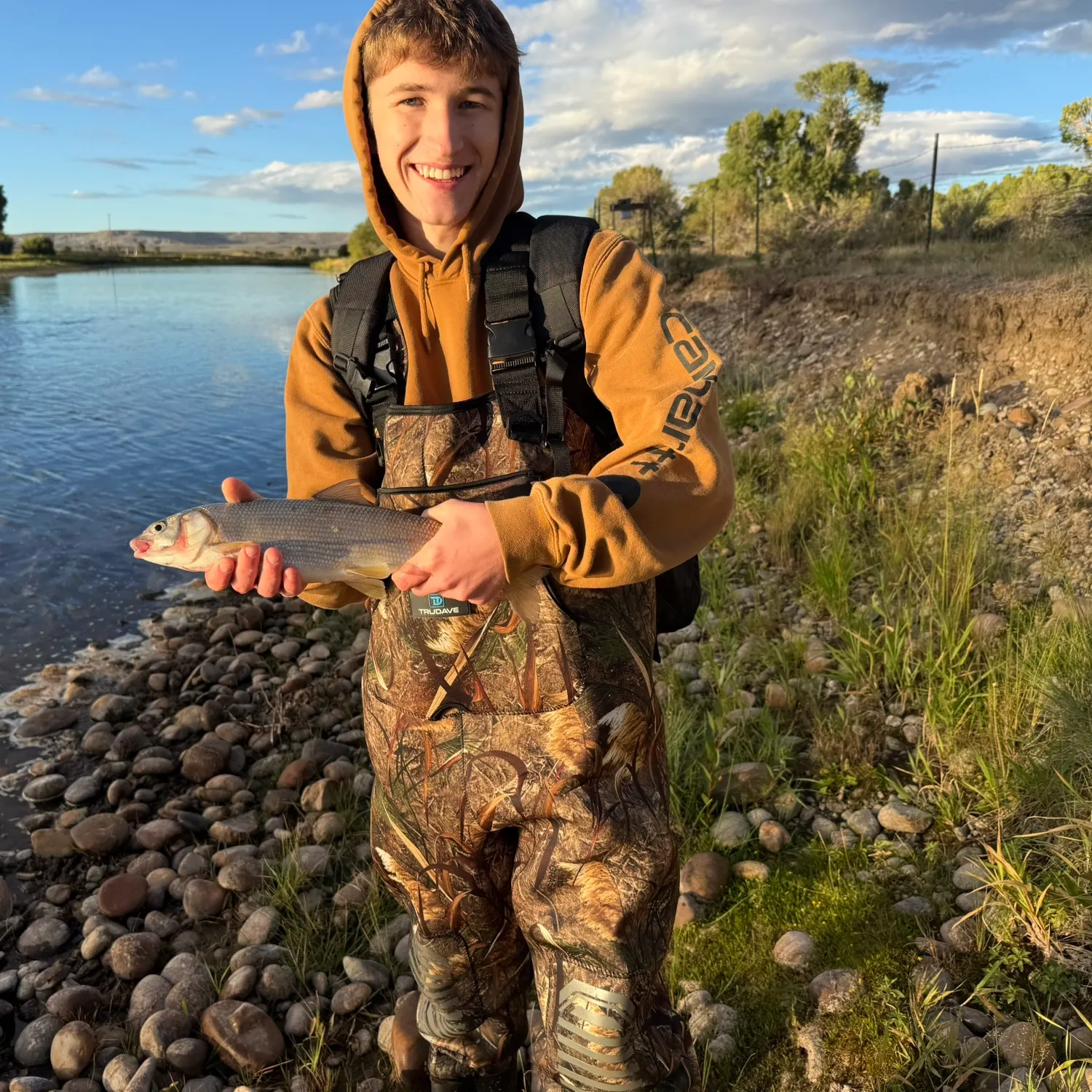 Utah chub caught on Fishbrain