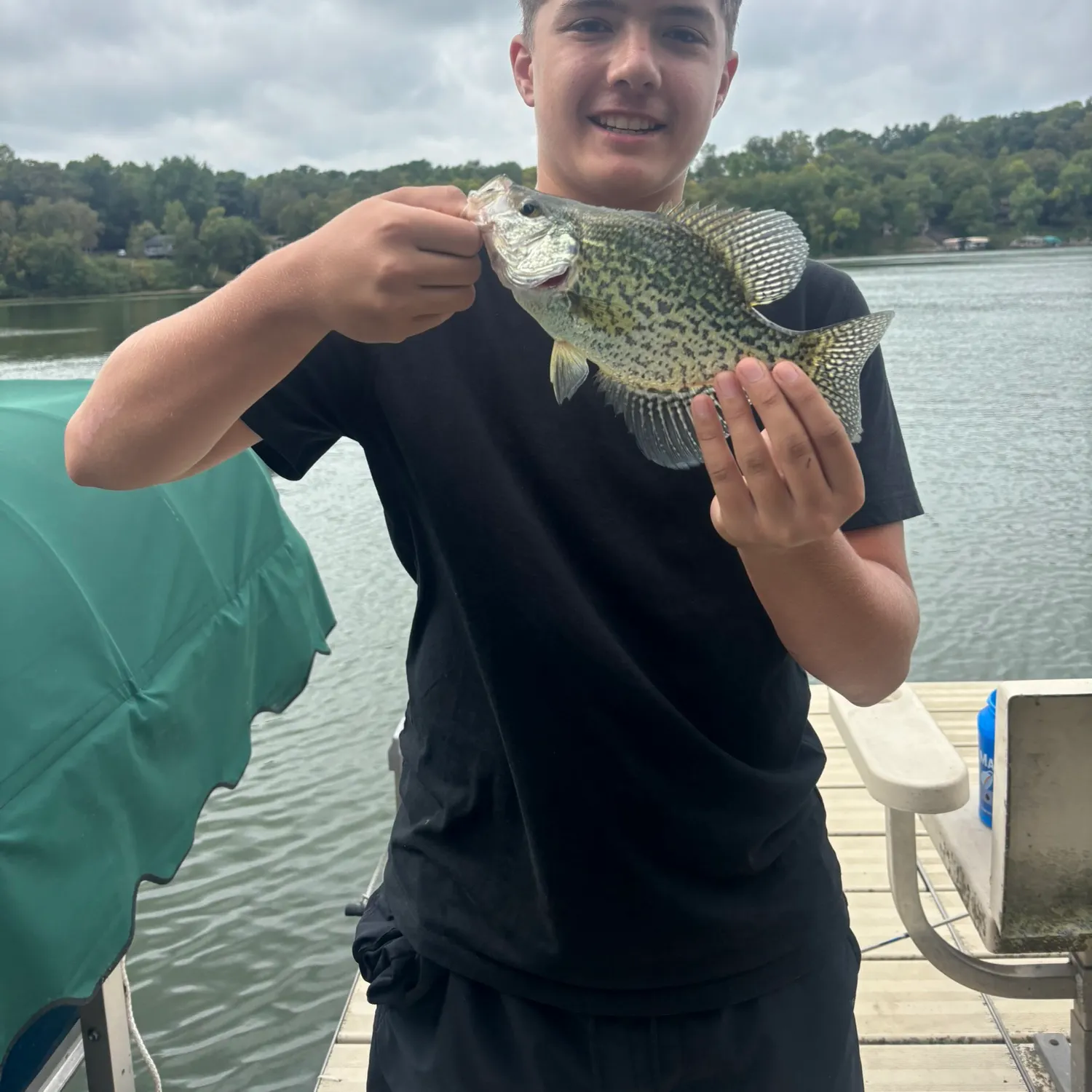 Black crappie caught on Fishbrain
