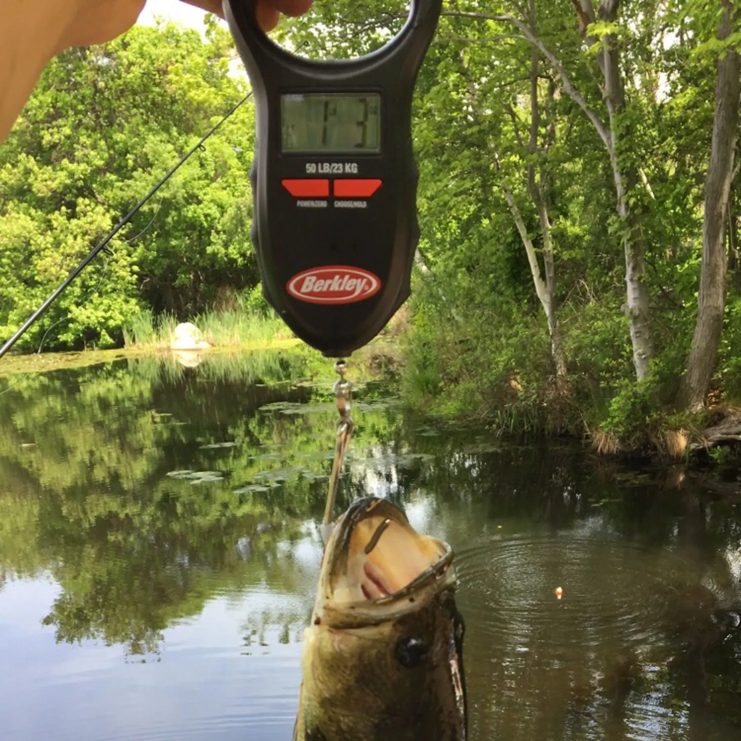 angler catch
