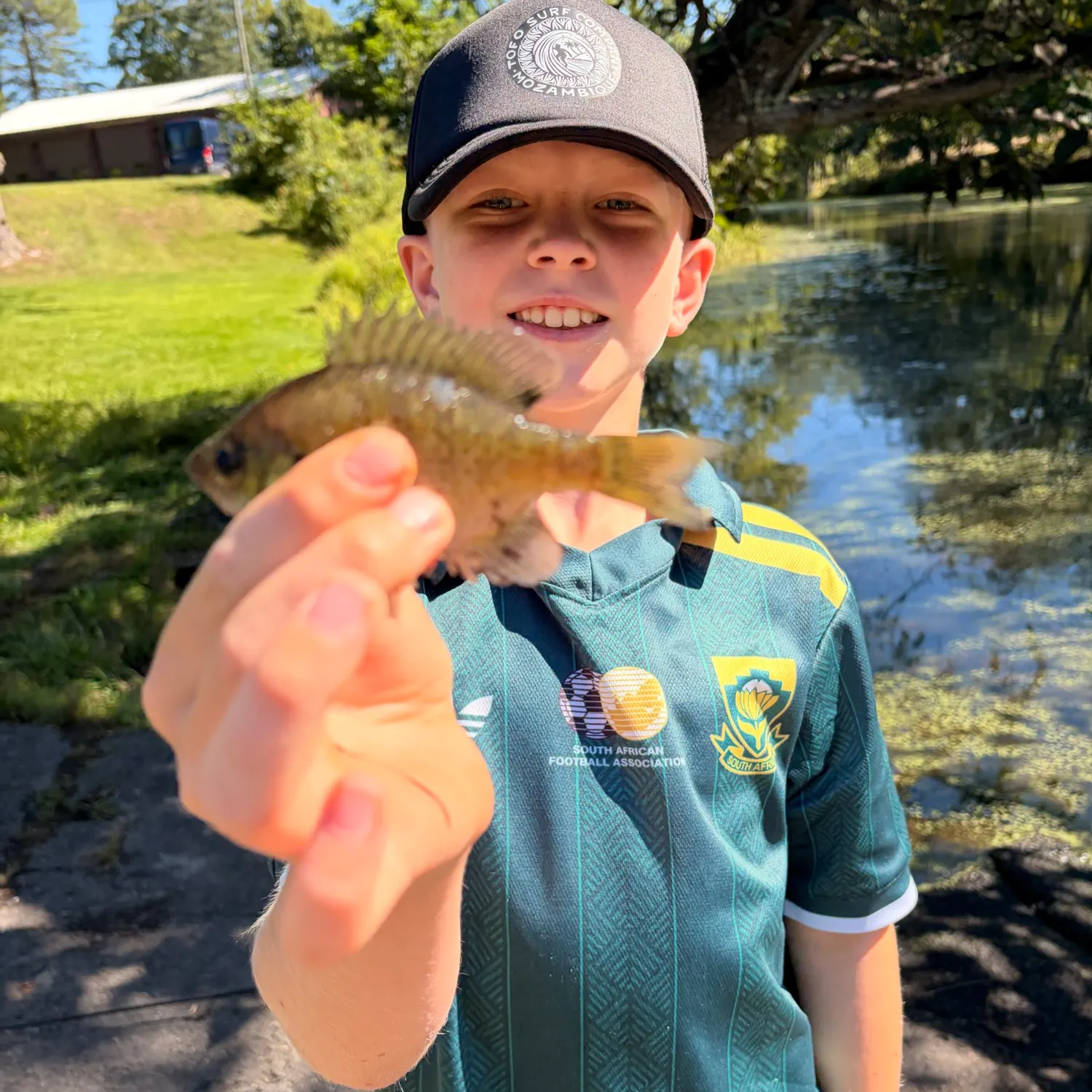 Bluegill caught on Fishbrain
