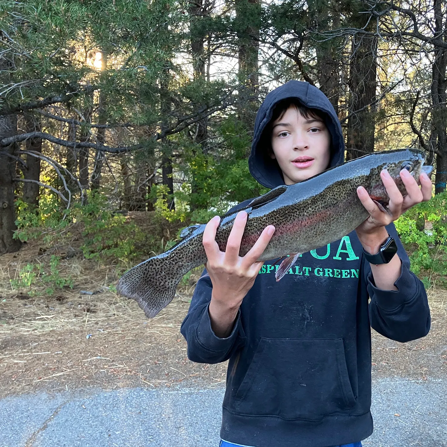 Rainbow trout caught on Fishbrain