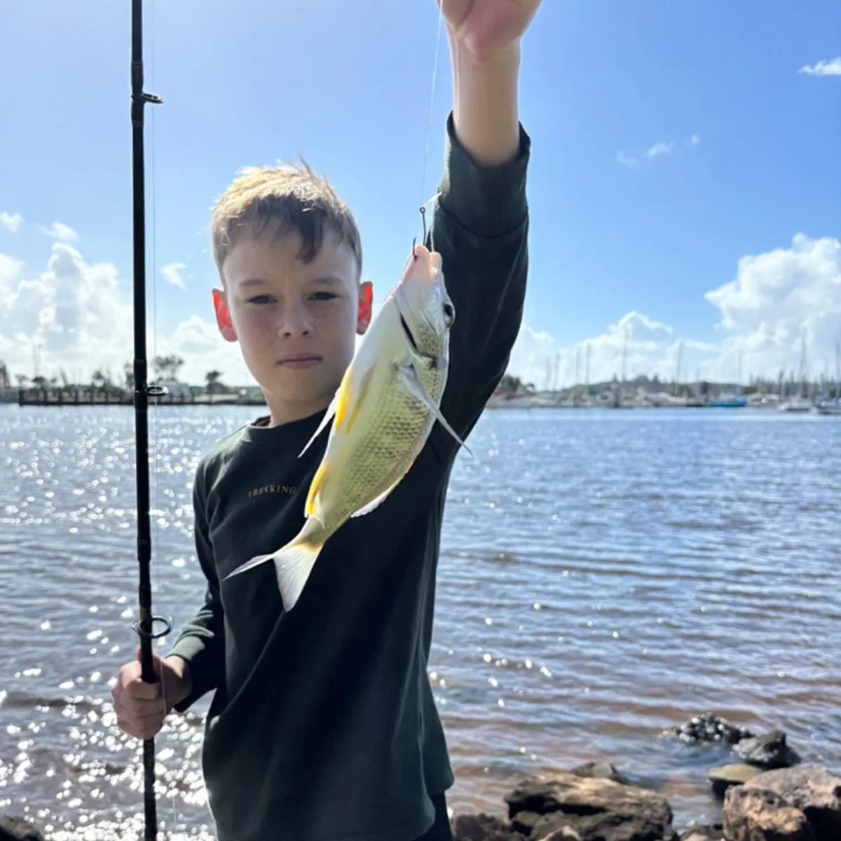 The most recent Surf bream catches on Fishbrain