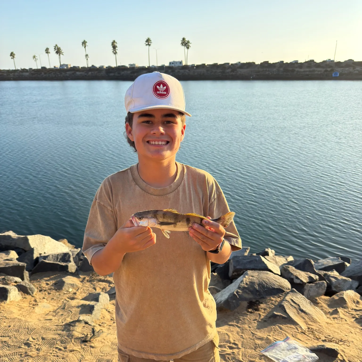 The most recent White seabass catches on Fishbrain