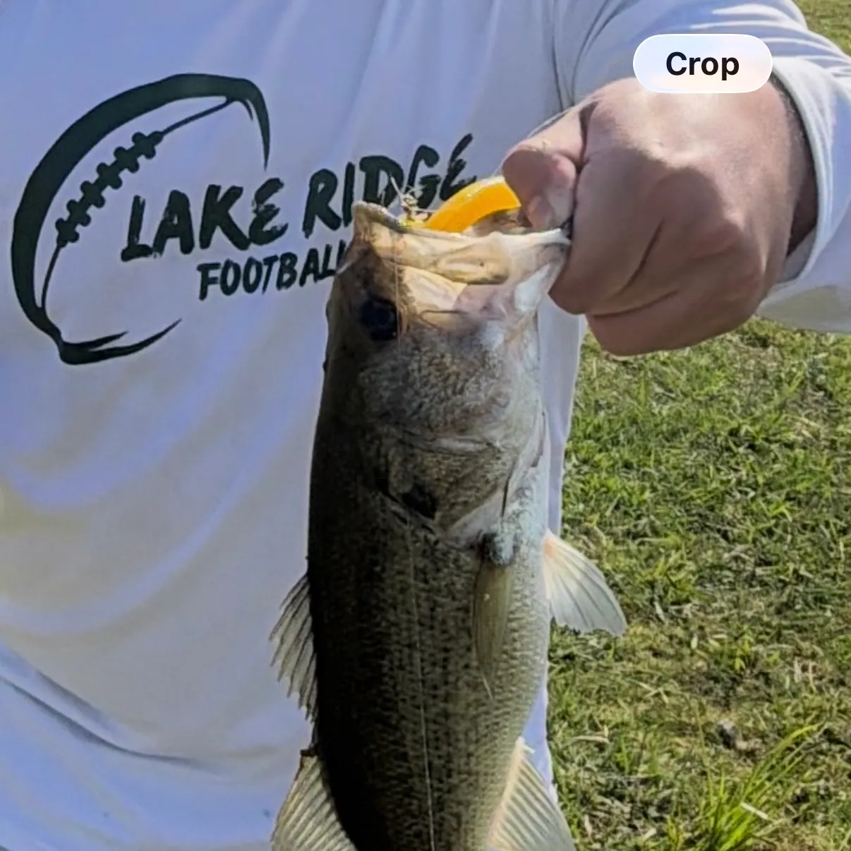 Fish caught on Fishbrain