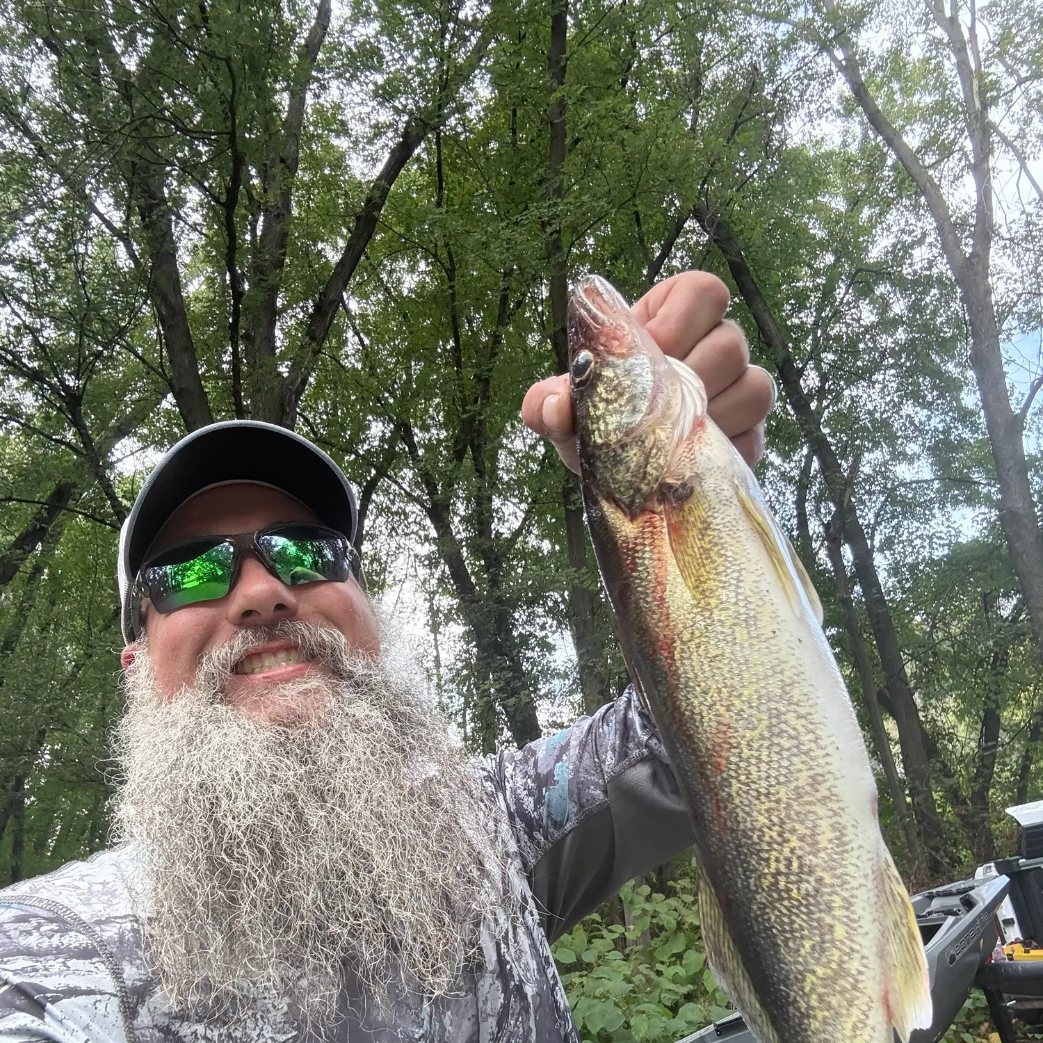 Walleye caught on Fishbrain