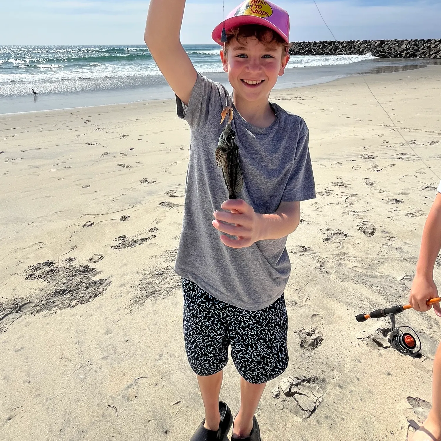 The most recent Rock greenling catches on Fishbrain