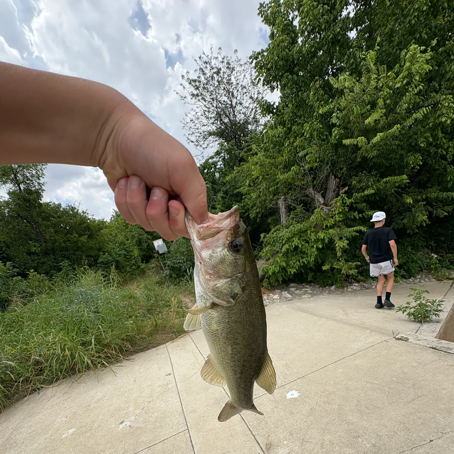 angler catch
