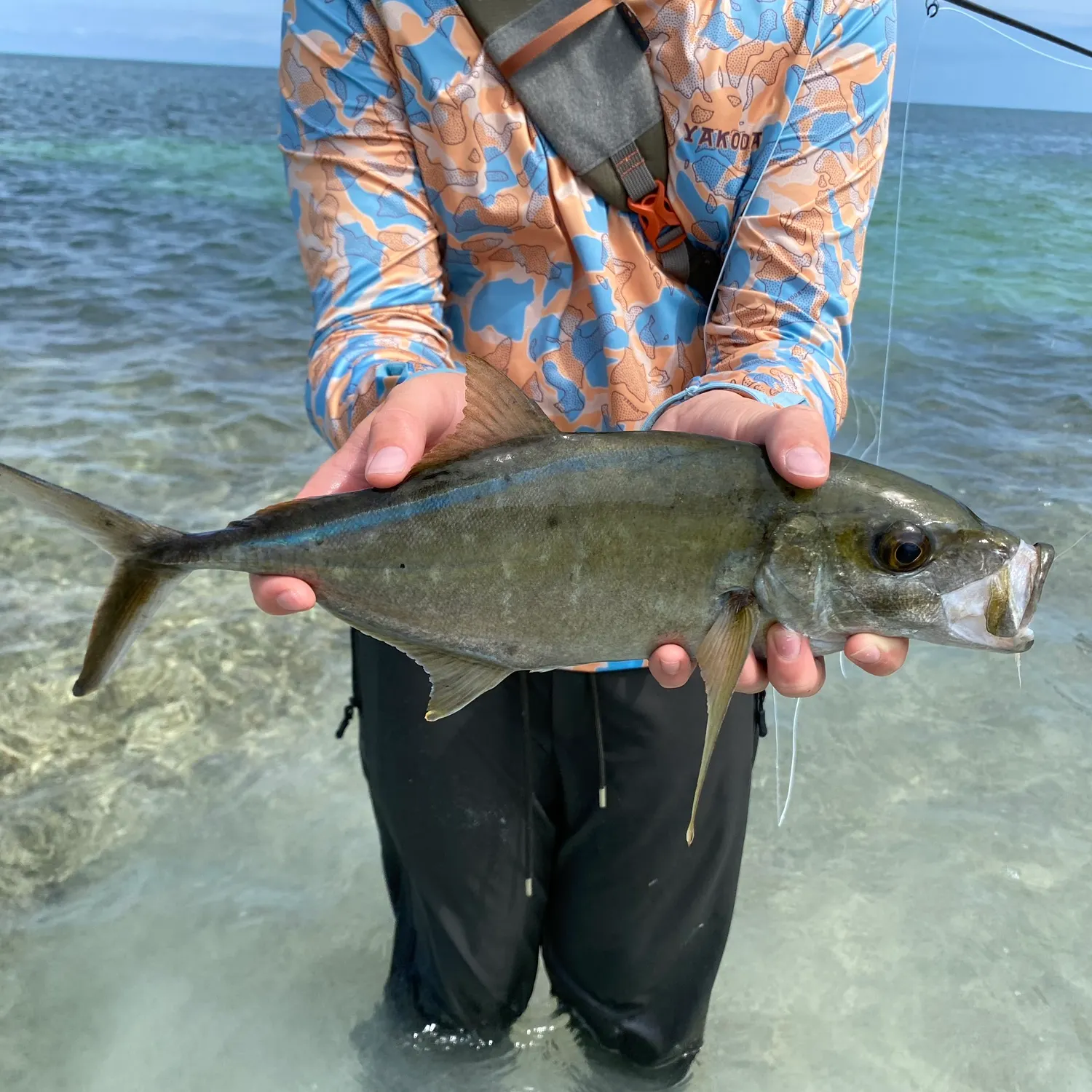 The most recent Bar jack catches on Fishbrain